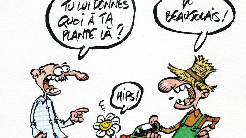 g.dedieuleveult